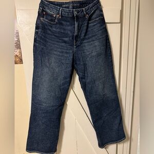 American Eagle Outfitters Dark Indigo Wide Leg